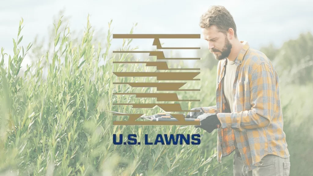 franquicia us lawns