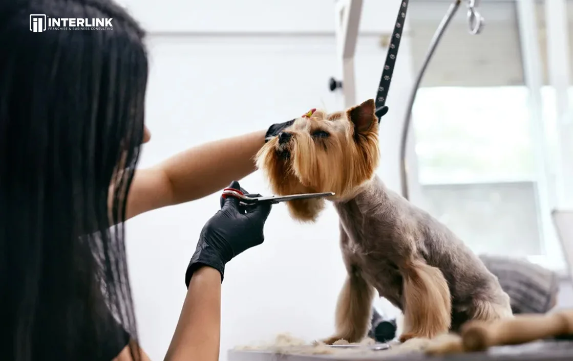 franquicia furrylands en usa